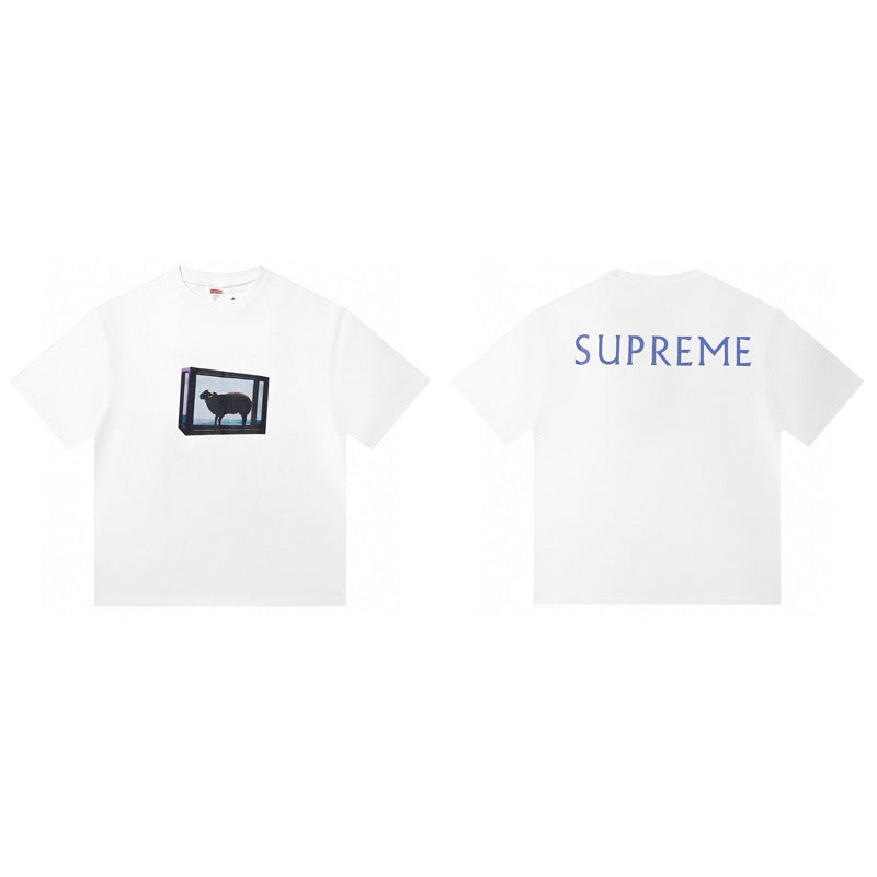 Cross border supply, foreign trade wholesale, trendy brand Supreme, short sleeved American BOX, classic 240g top, T-shirt with half sleeves, 10 (13)