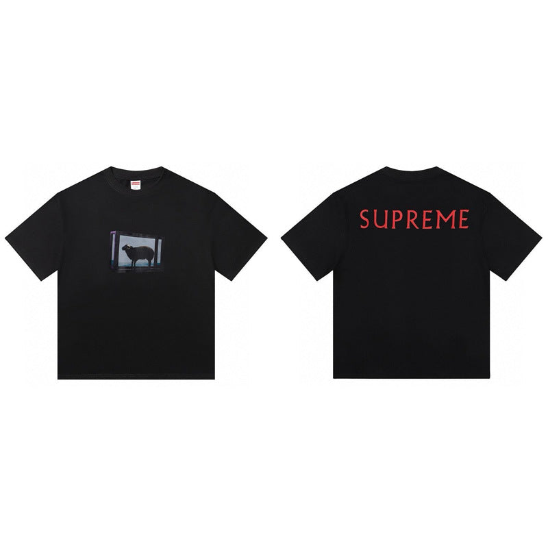 Cross border supply, foreign trade wholesale, trendy brand Supreme, short sleeved American BOX, classic 240g top, T-shirt with half sleeves, 10 (14)
